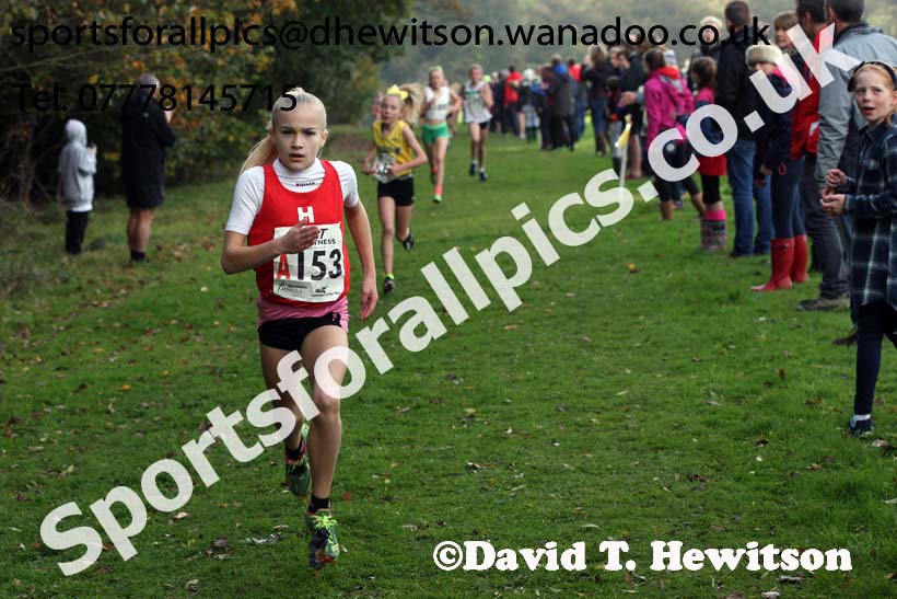 Girls under-13s Northern Cross Country Relays. Photo: David T. Hewitson/Sports for All Pics